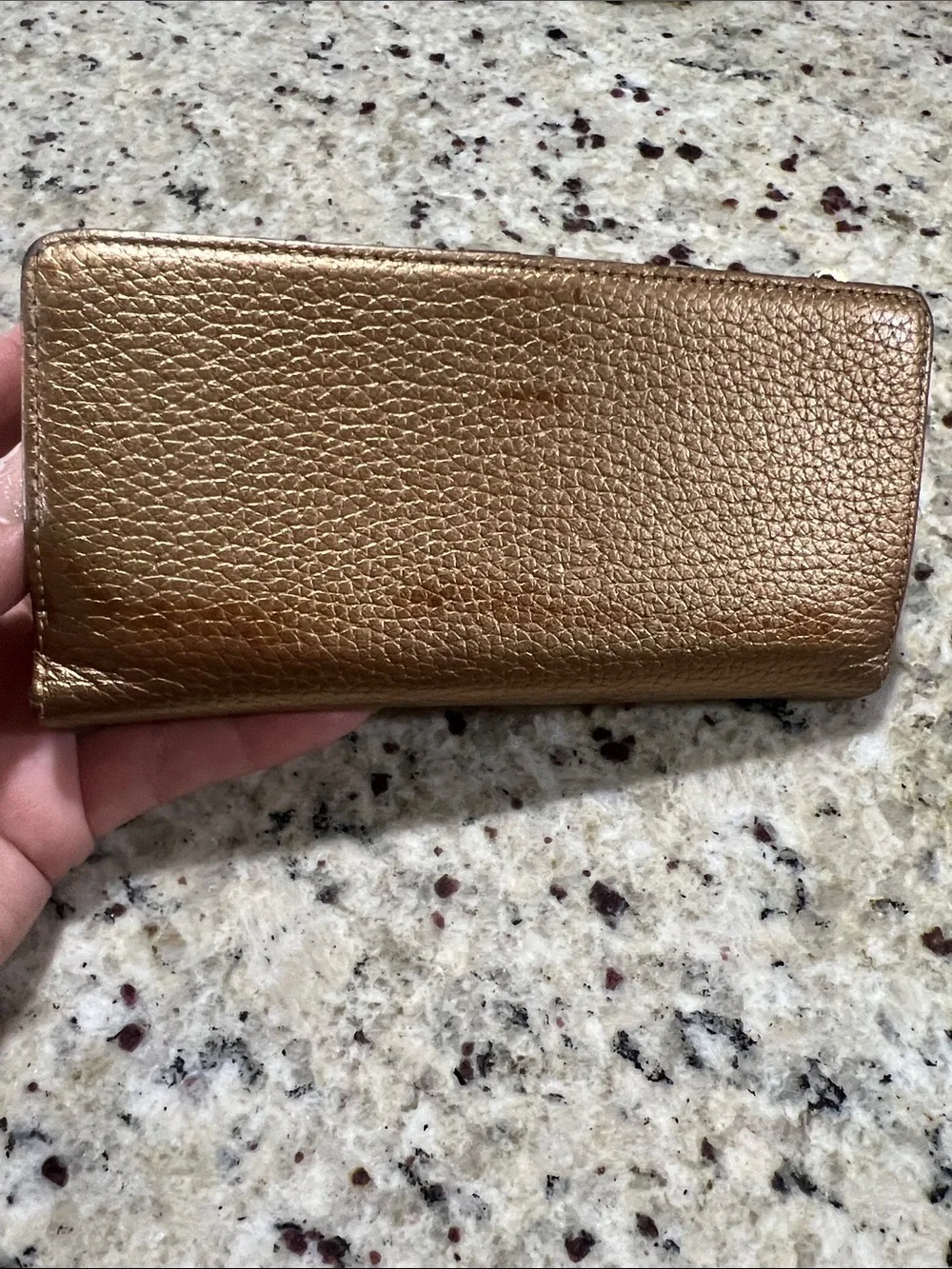 Etienne Aigner compact leather